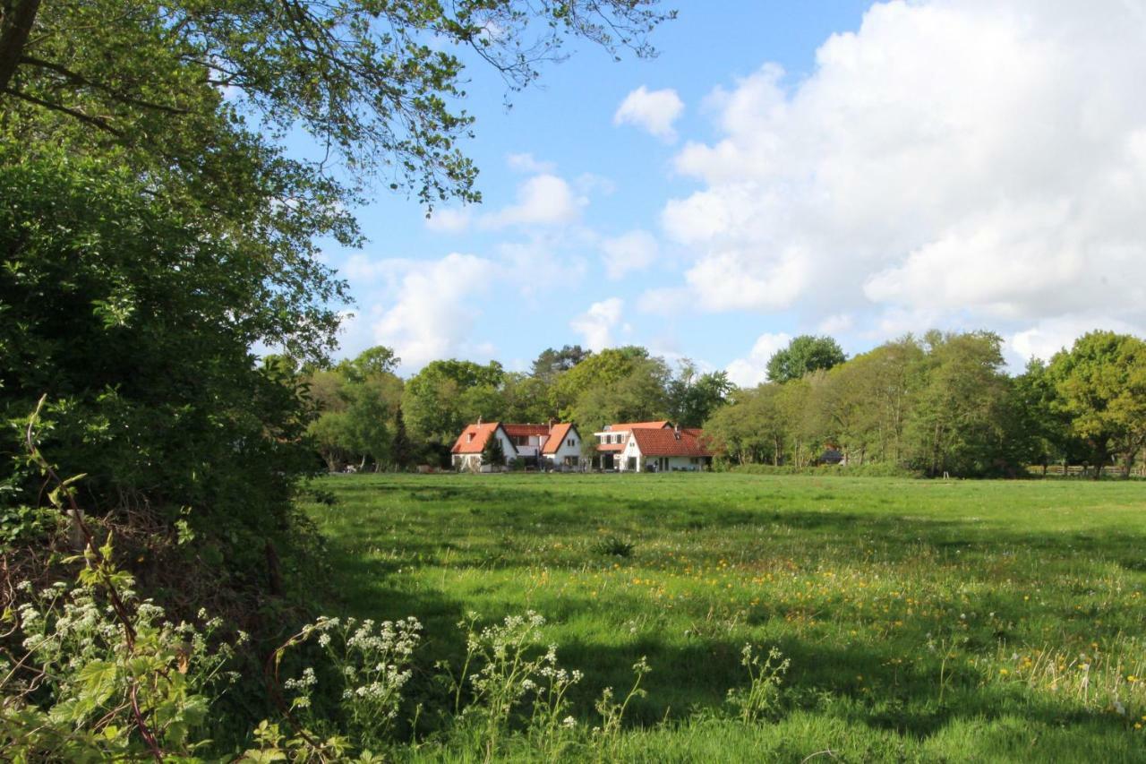 Villa De Hazelaar Schoorl Eksteriør billede